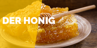 Honig ist besonders gesund. Daher gibt es in der Imkerei Hinse in Lüdersfeld bei Stadthagen natürlichen Honig. Auch Kunden aus Sachsenhagen, Bad Nenndorf, Rodenberg und Schaumburg herzlich willkommen.